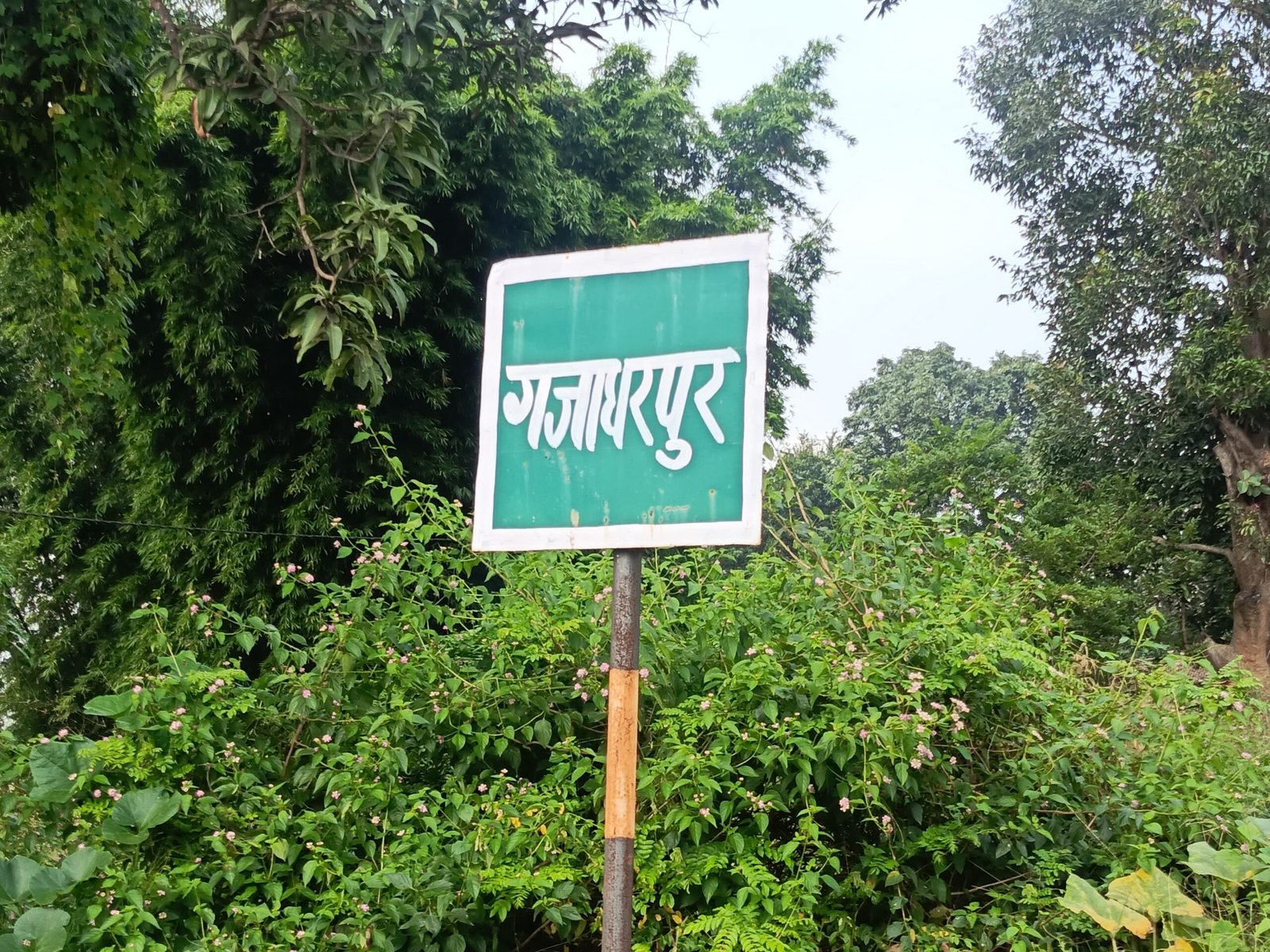 रोजगार सहायक पर हितग्राही मूलक राशि गबन करने का लगा आरोप