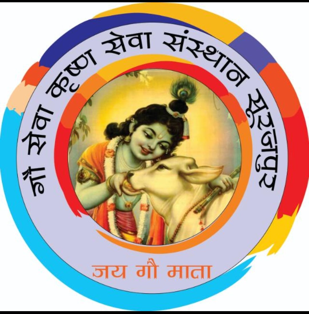 पशु चिकित्सा विभाग के उपचार पर उठे सवाल, बछड़े का सड़ा पैर काटकर गौसेवकों ने किया उपचार<br>